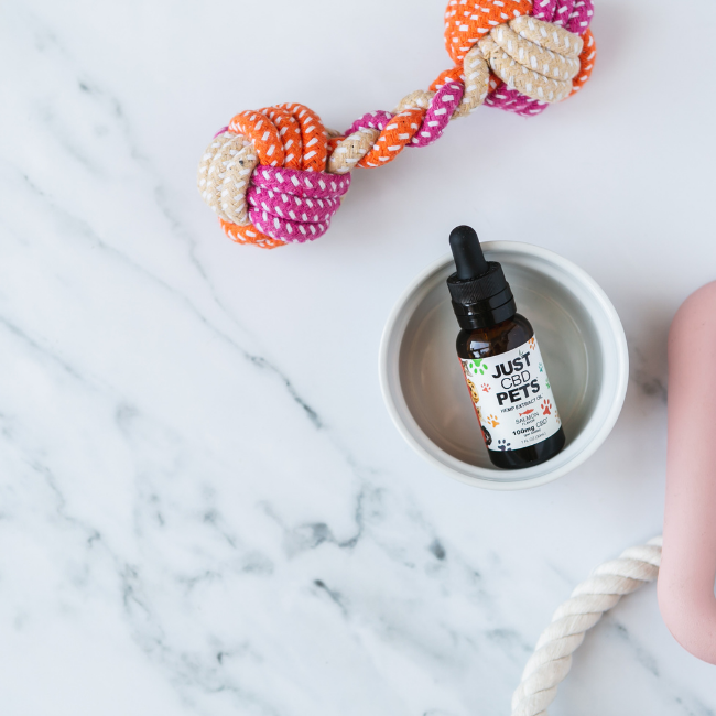 CBD-Oil-For-Cats-Salmon-Flavored