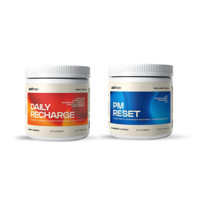 AM-PM Bundle